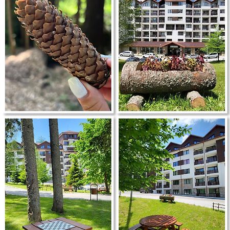 The Green Apartment Borovets Exterior foto