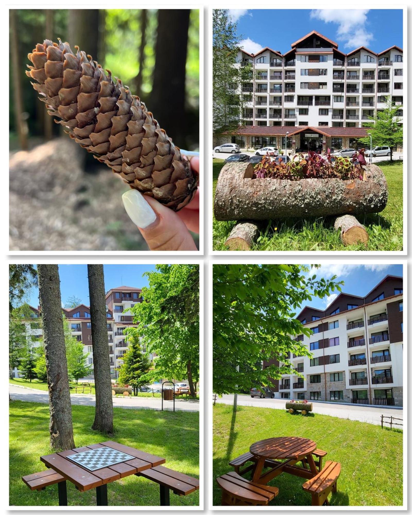 The Green Apartment Borovets Exterior foto