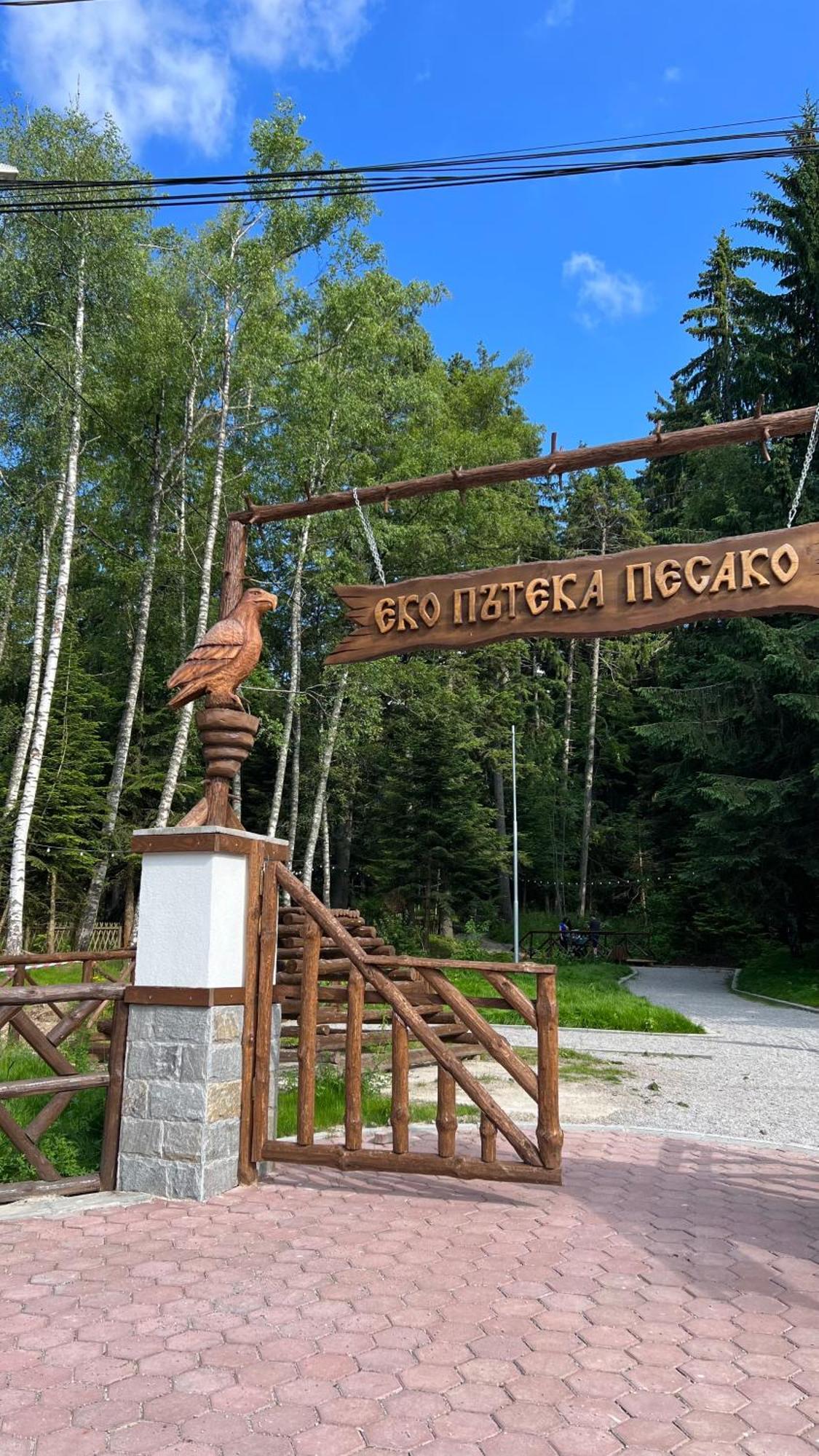The Green Apartment Borovets Exterior foto
